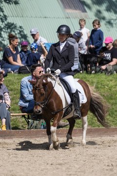 Bild 9 - Pony Akademie Turnier